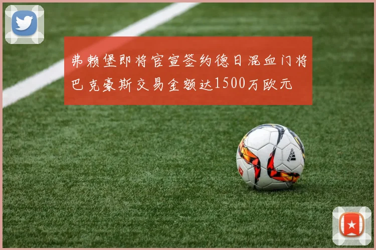 弗赖堡即将官宣签约德日混血门将巴克豪斯交易金额达1500万欧元