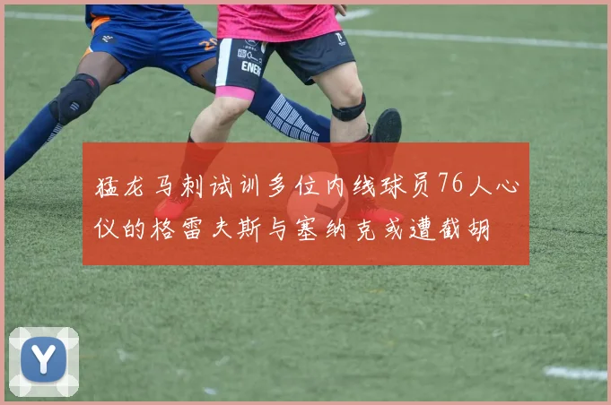猛龙马刺试训多位内线球员76人心仪的格雷夫斯与塞纳克或遭截胡